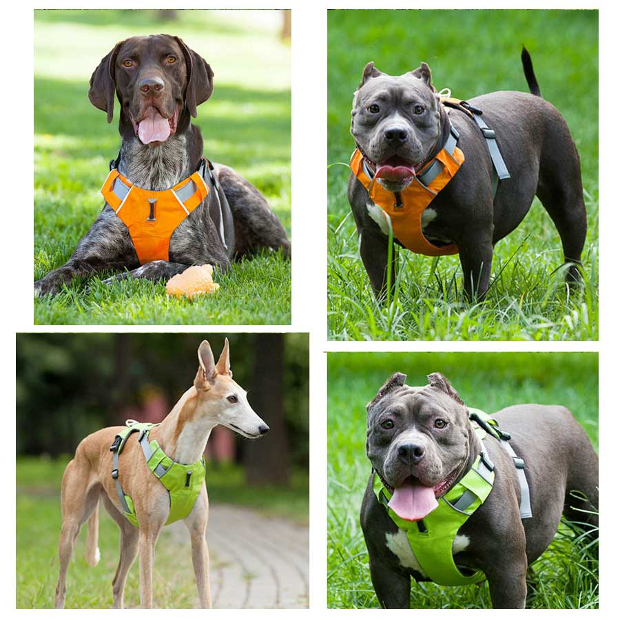Dog Harness - 2-Strap Design, 3-colours