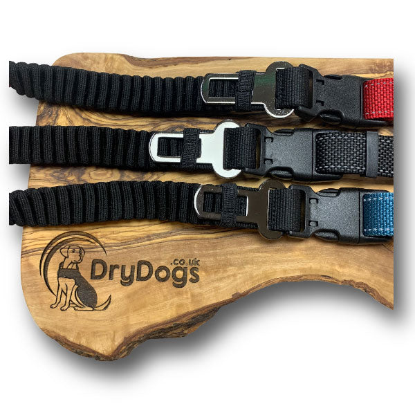 DryDogs 6-in-1 Multifunction Dog Lead with Bungee