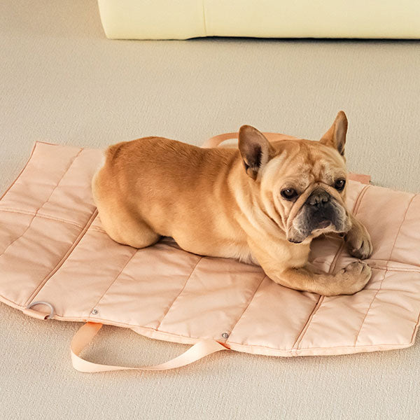 Folding Pet Carry-Beds with Strap