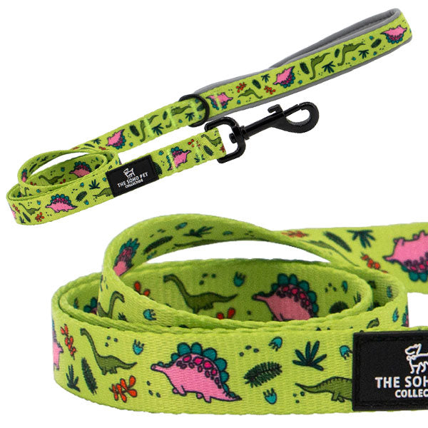 Dinosaur Dog Collars & Leads | 100% Recycled Fabric