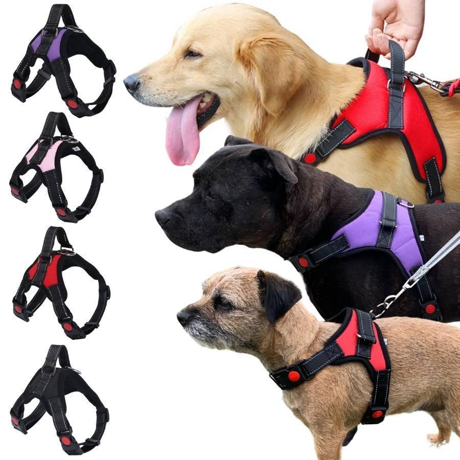 Dog Harnesses with Handle