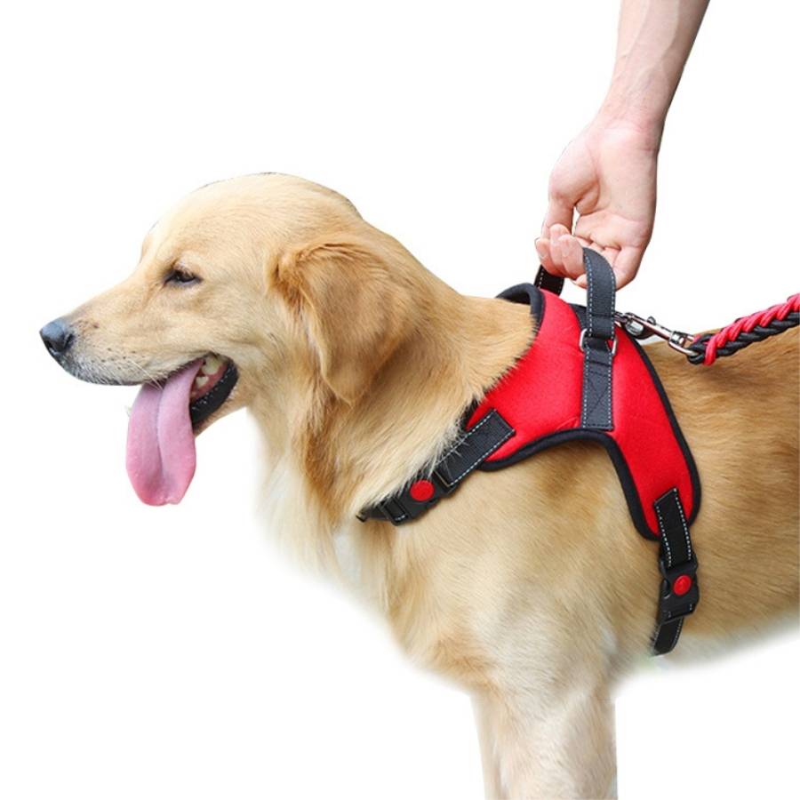Dog Harnesses with Handle