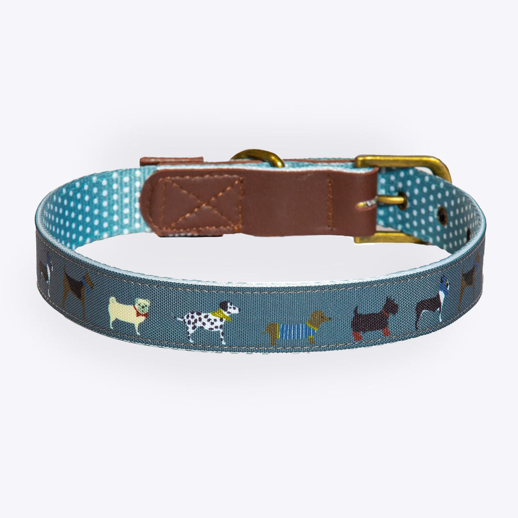 FatFace Marching Dogs Dog Collar/Lead & Harness