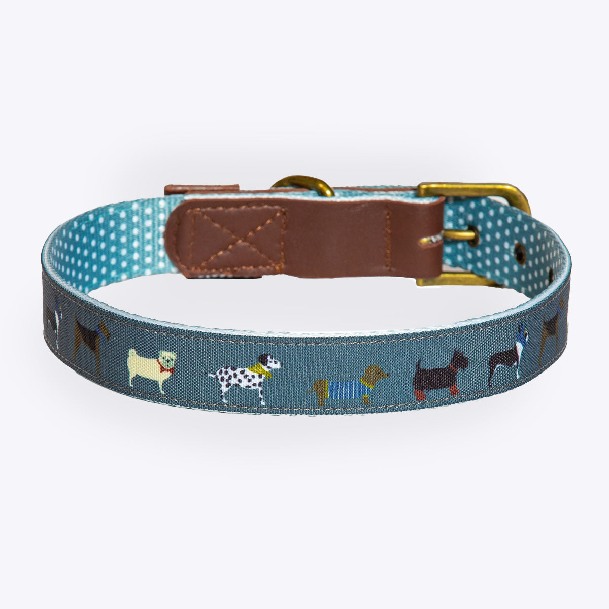 FatFace Marching Dogs Dog Collar/Lead & Harness