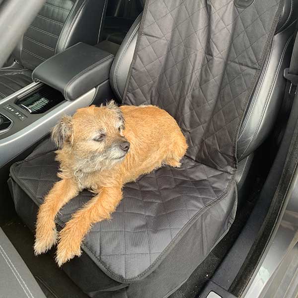 Front Car Seat Protector