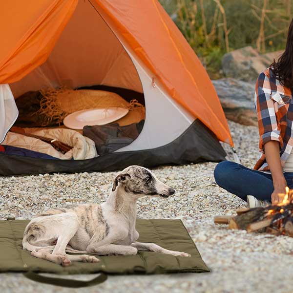 Folding Pet Carry-Beds with Strap
