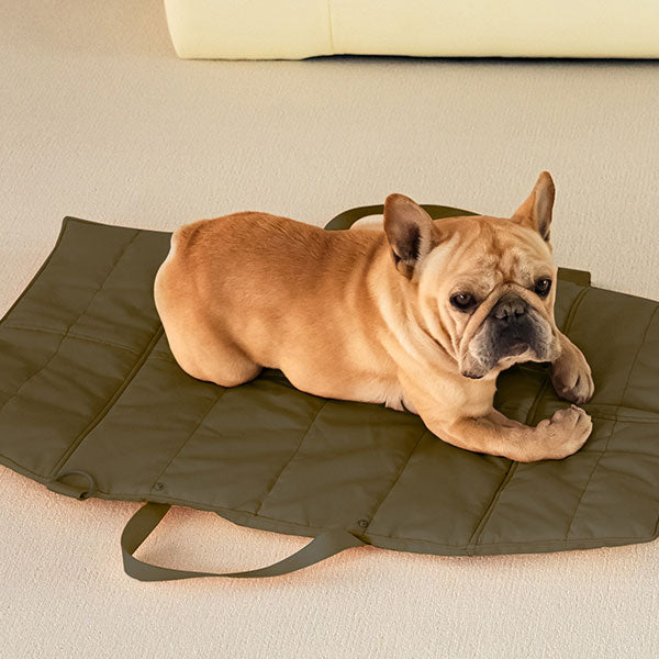 Folding Pet Carry-Beds with Strap