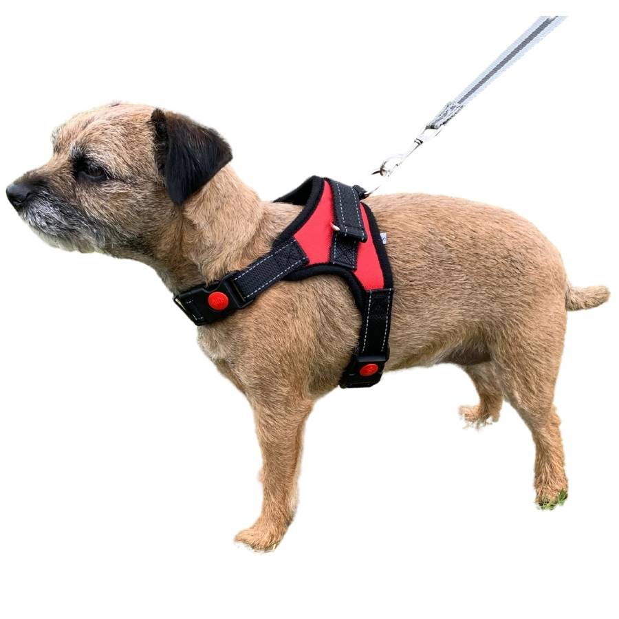 Dog Harnesses with Handle