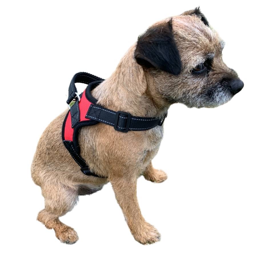 Dog Harnesses with Handle