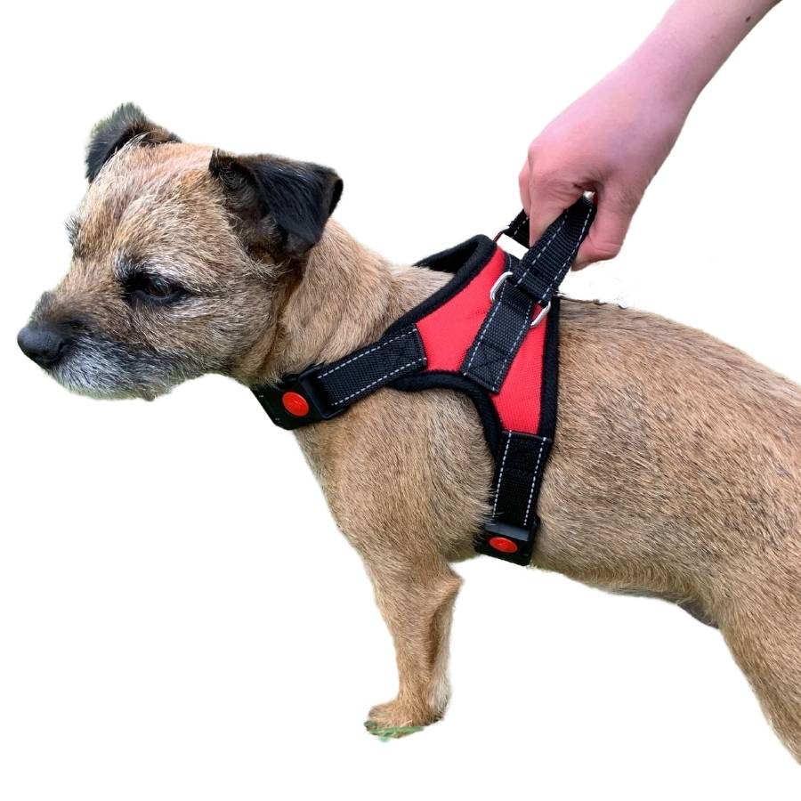 Dog Harnesses with Handle