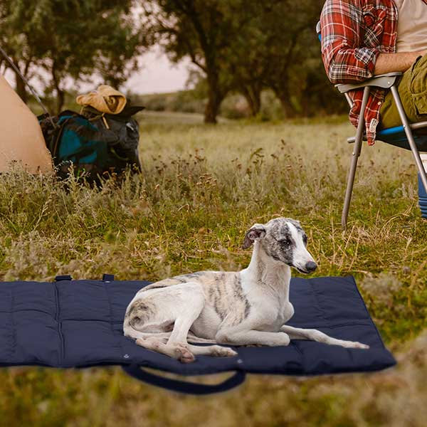 Folding Pet Carry-Beds with Strap