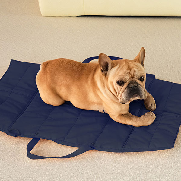 Folding Pet Carry-Beds with Strap