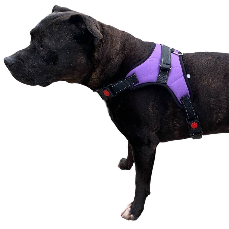 Dog Harnesses with Handle