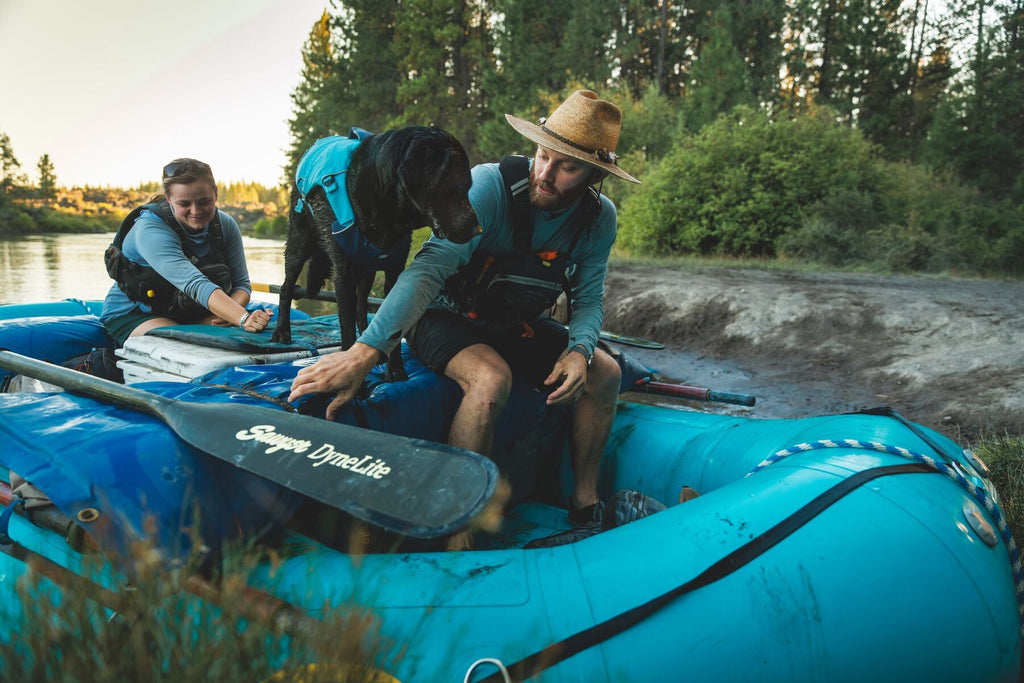 Confluence Dog Life Jacket