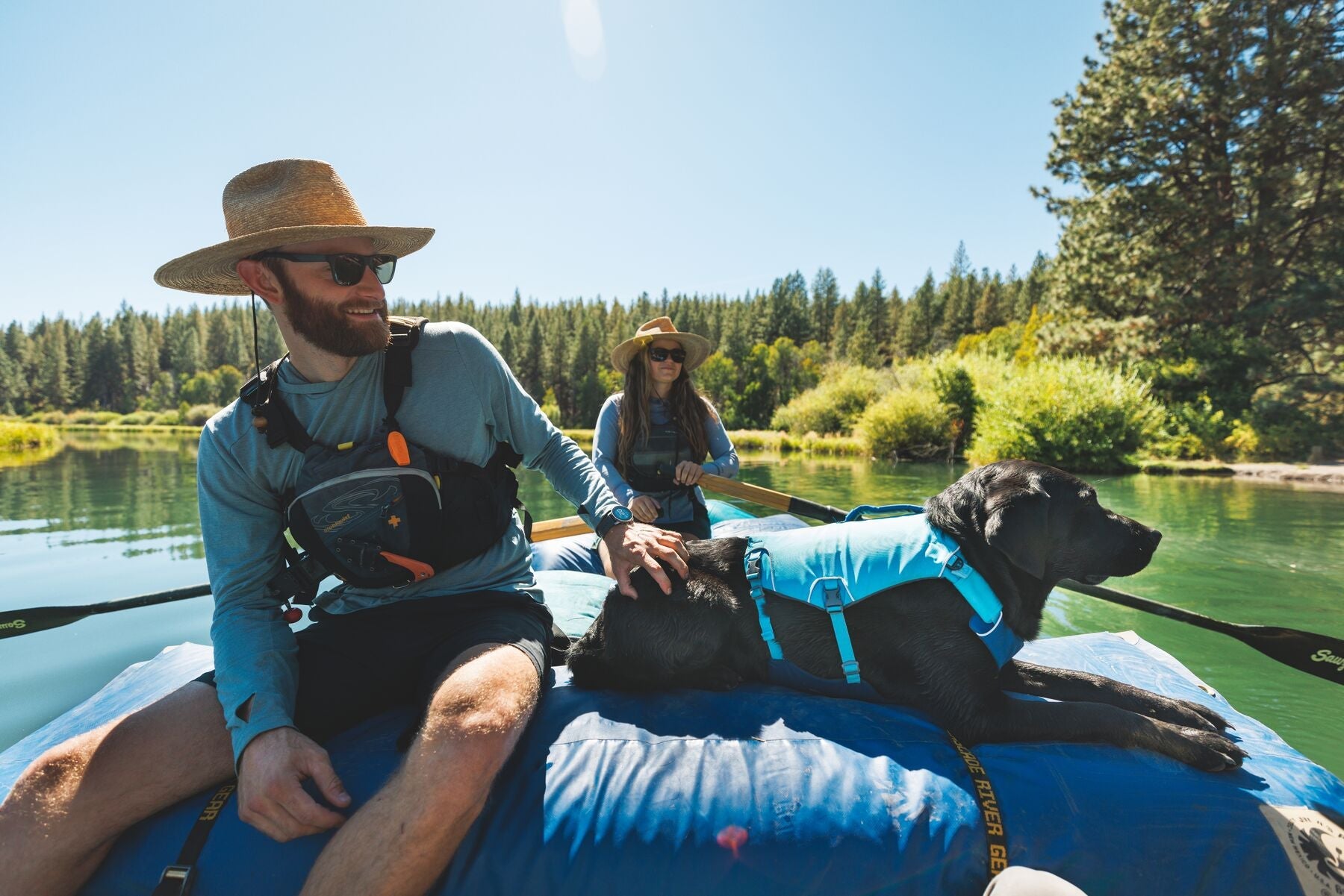 Confluence Dog Life Jacket