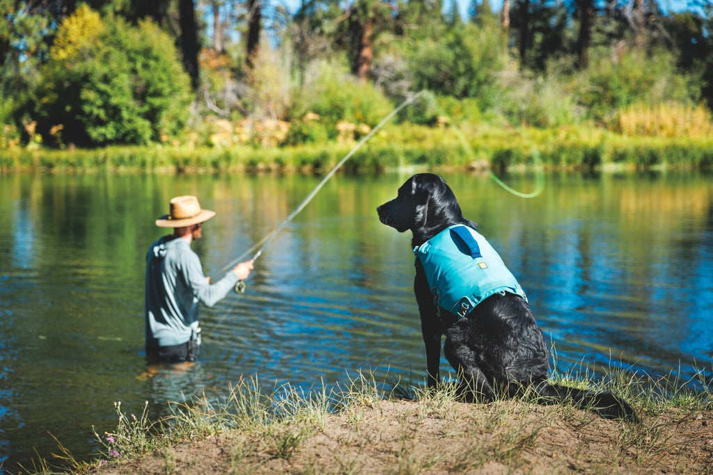 Confluence Dog Life Jacket
