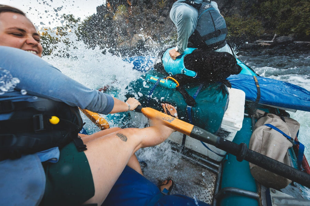 Confluence Dog Life Jacket