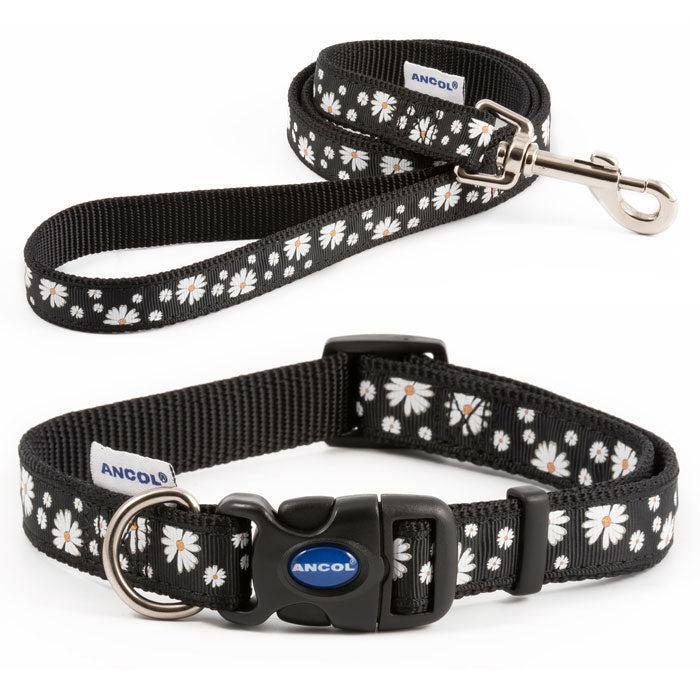 Black Daisy Nylon Collars & Leads