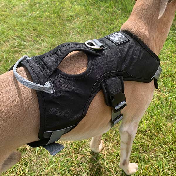 Escape proof Harness (3 Strap)
