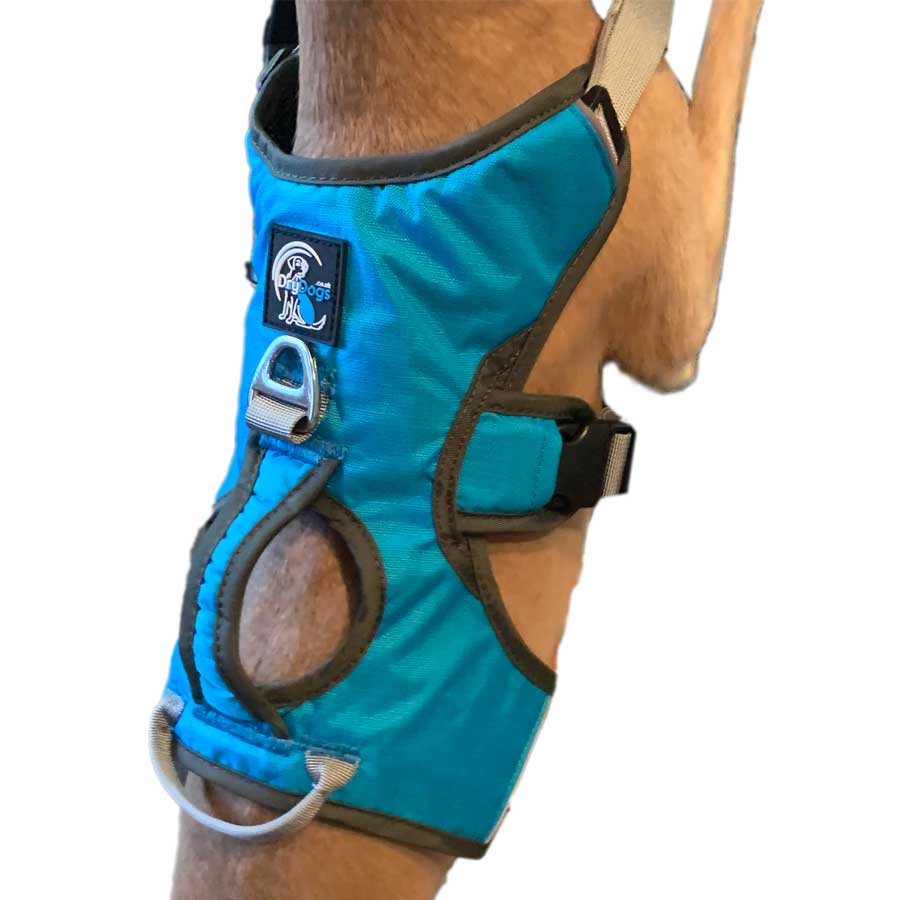 Escape proof Harness (3 Strap)