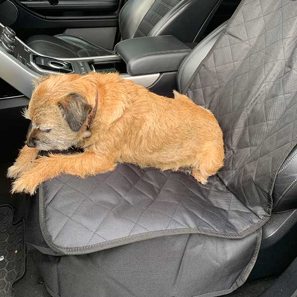 Front Car Seat Protector