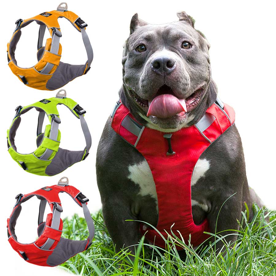 Dog Harness - 2-Strap Design, 3-colours