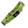 Dinosaur Dog Collars & Leads | 100% Recycled Fabric