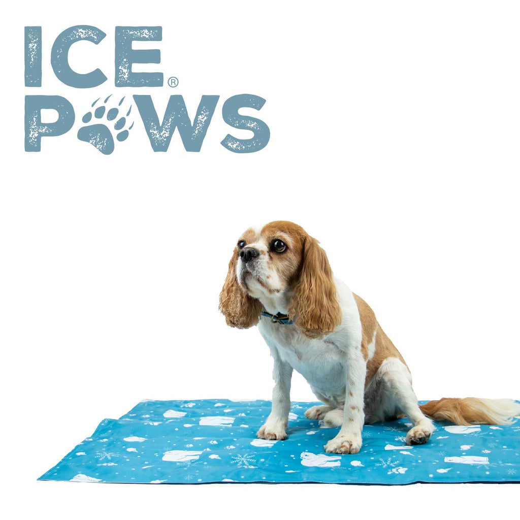 Dog Cooling Mats
