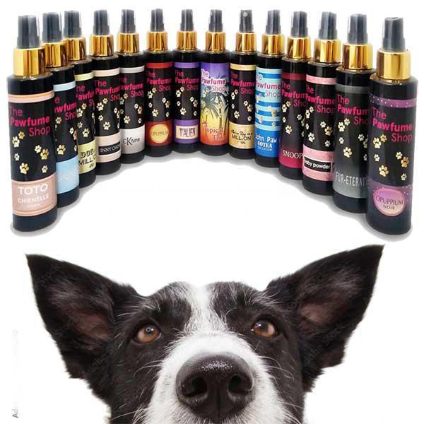 Dog Pawfume - Designer Fragrances for your Pooch 100ml