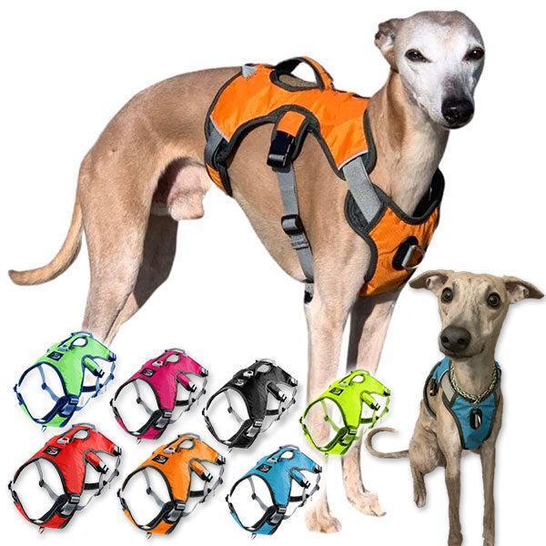 Escape proof Harness (3 Strap)