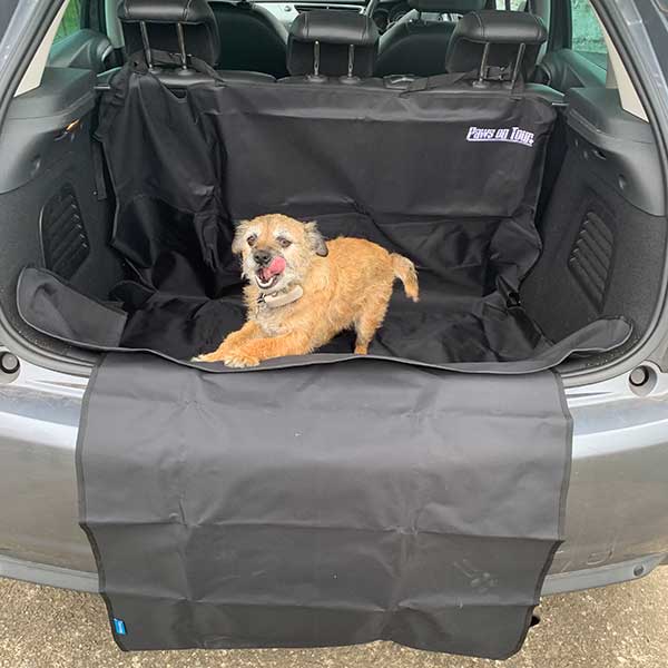 Boot Protector with Removable Lip