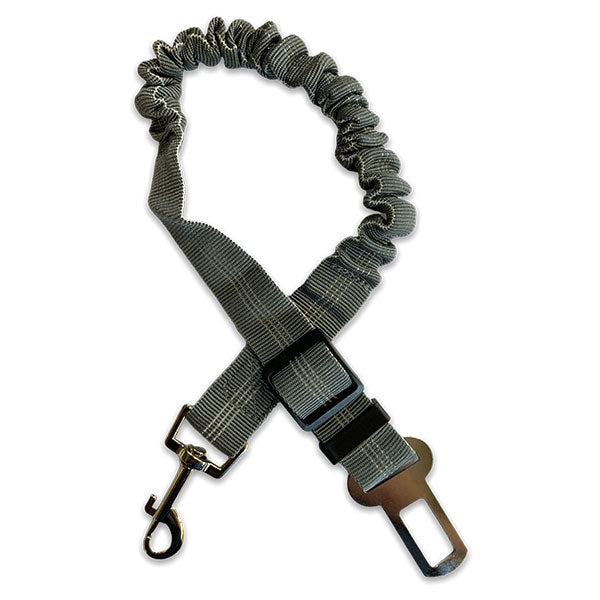 Car Seat Belt Clip to Harness Restraint