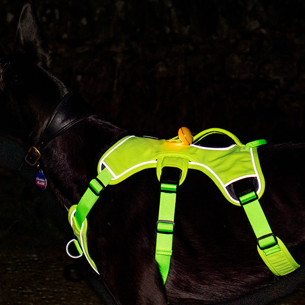 Escape proof Harness (3 Strap)