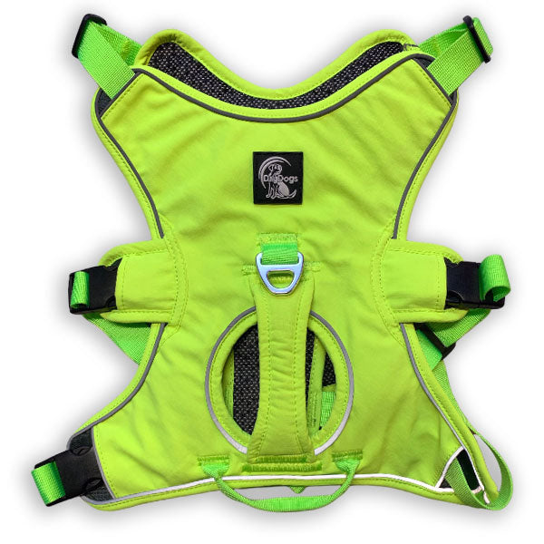 Escape proof Harness (3 Strap)