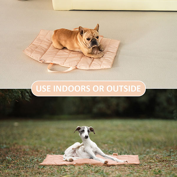 Folding Pet Carry-Beds with Strap
