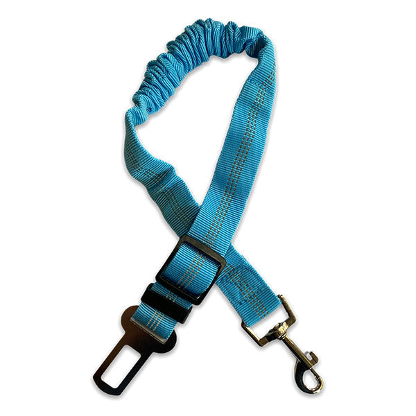 Car Seat Belt Clip to Harness Restraint