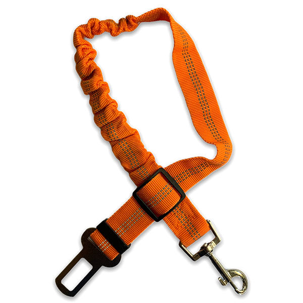 Car Seat Belt Clip to Harness Restraint