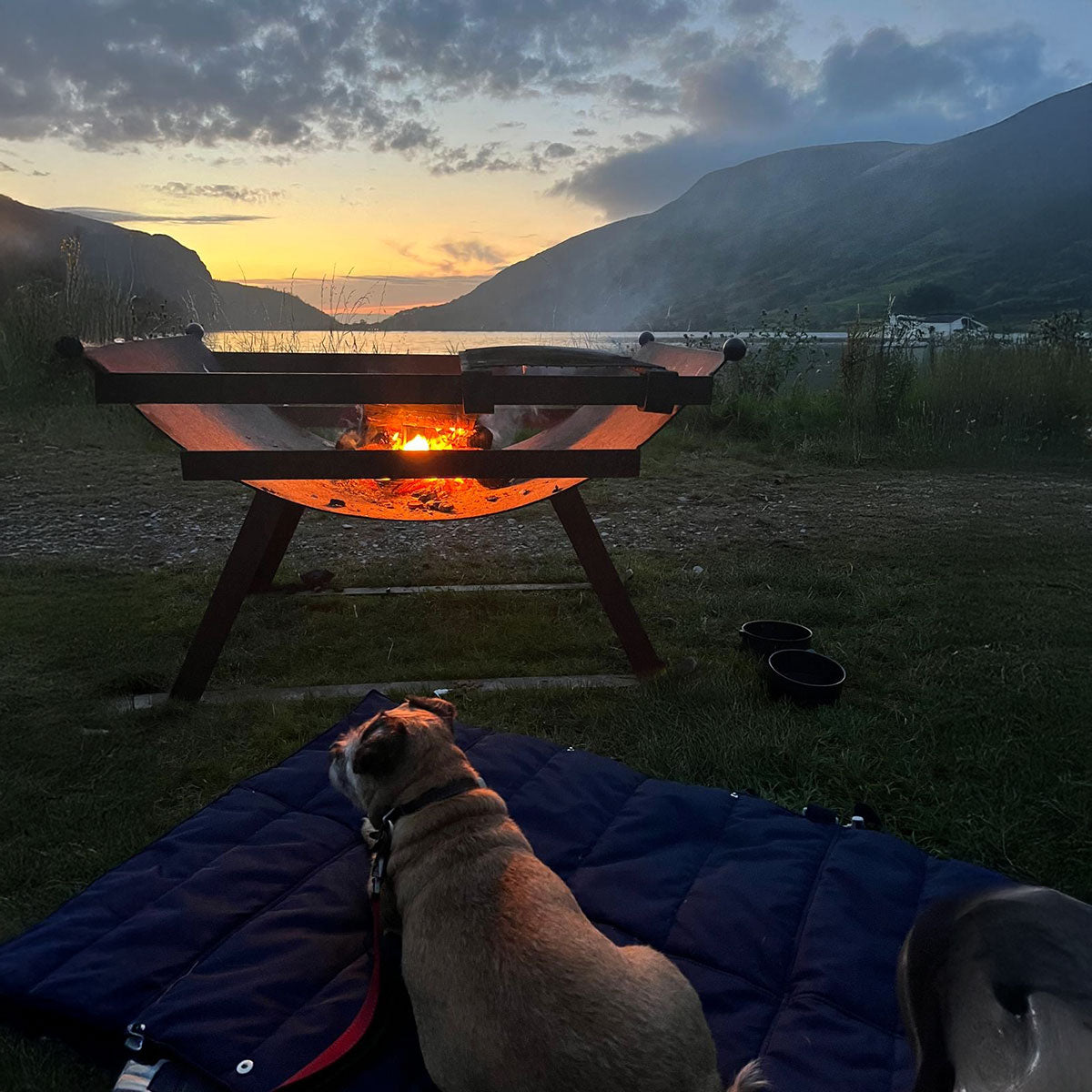 Folding Pet Carry-Beds with Strap