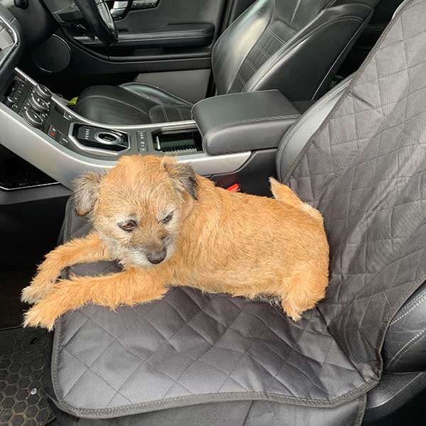 Front Car Seat Protector