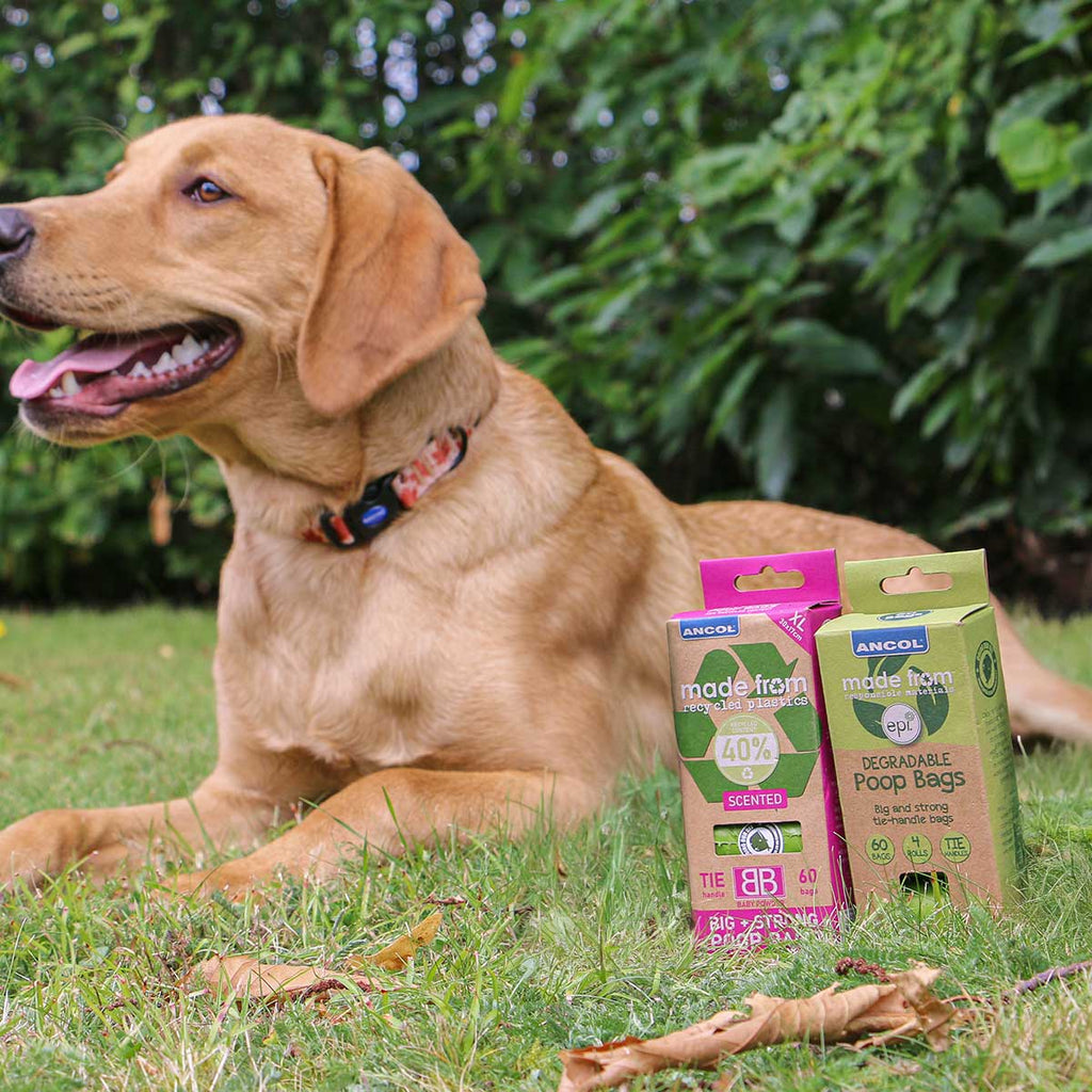 Recycled / Degradable Poop Bags inc. Scented