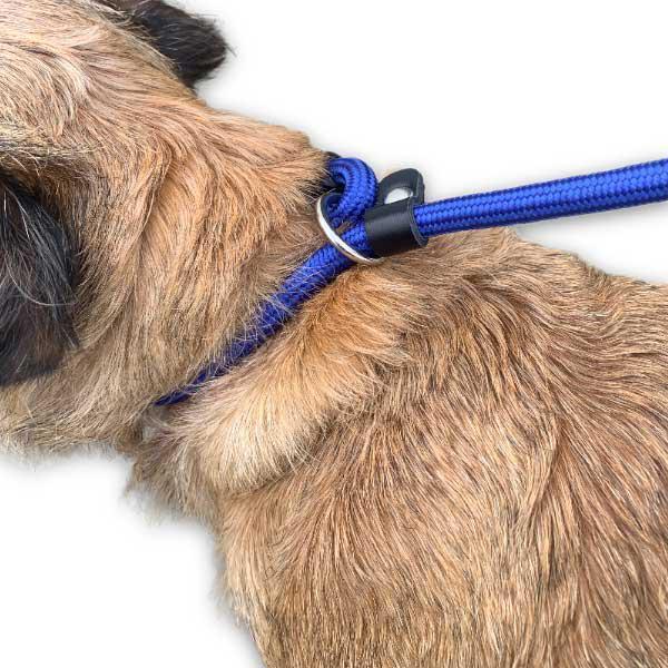 Dog Slip Lead