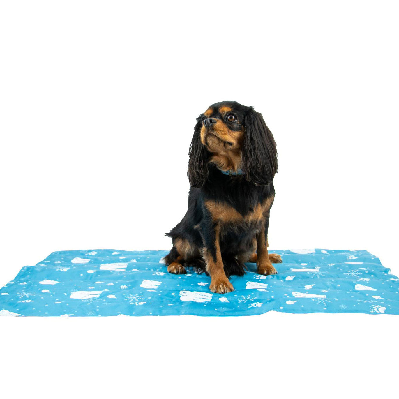 Dog Cooling Mats