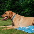 Dog Cooling Mats